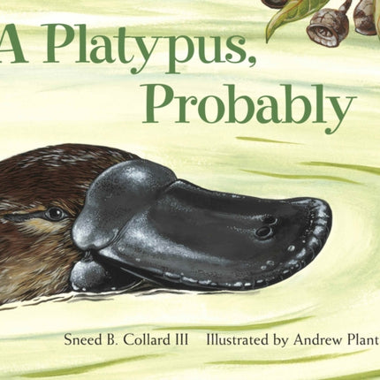 A Platypus, Probably