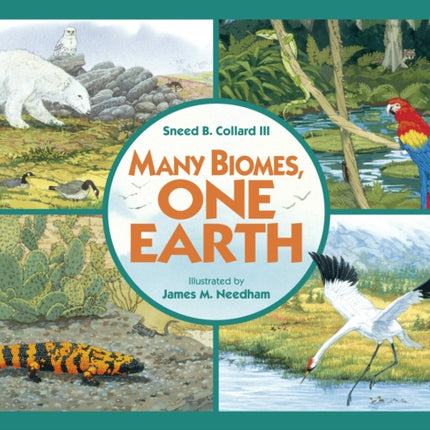 Many Biomes, One Earth