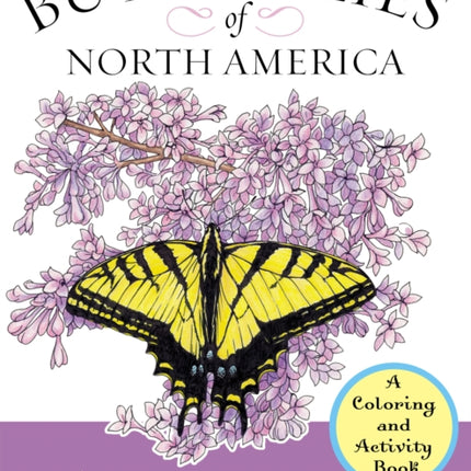 Butterflies of North America: An Activity and