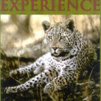 African Experience