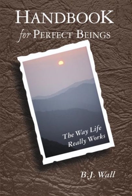 Handbook for Perfect Beings: The Way Life Really Works