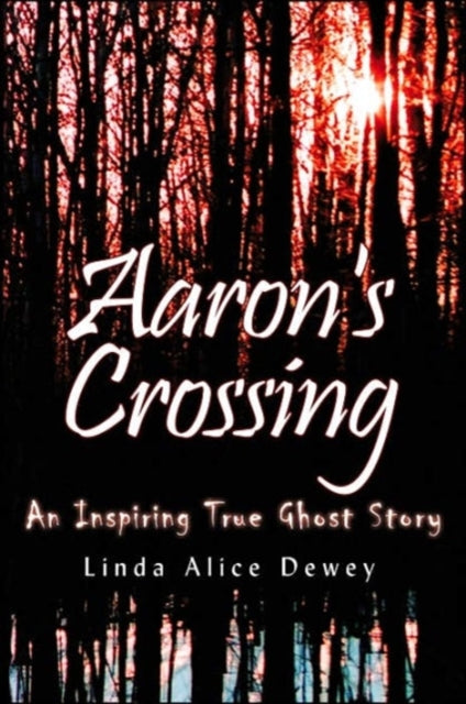 Aaron'S Crossing: An Inspiring True Ghost Story