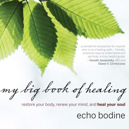 My Big Book of Healing: Restore Your Body, Renew Your Mind, and Heal Your Soul