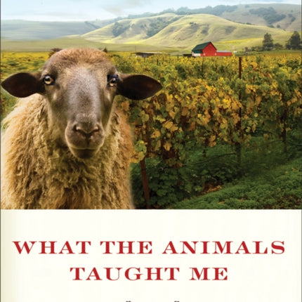 What the Animals Taught Me: Stories of Love and Healing from a Farm Animal Sanctuary