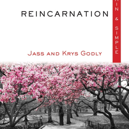 Reincarnation Plain  Simple The Only Book YouLl Ever Need