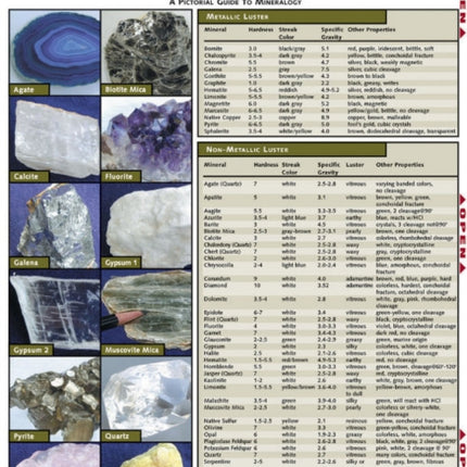 Rocks & Minerals