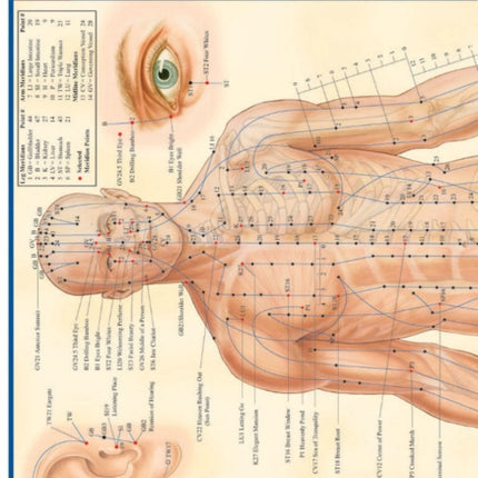 Acupressure