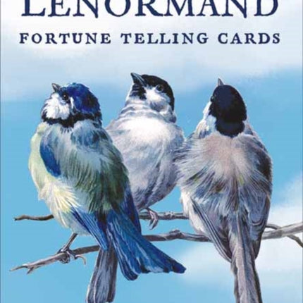 Blue Bird Lenormand