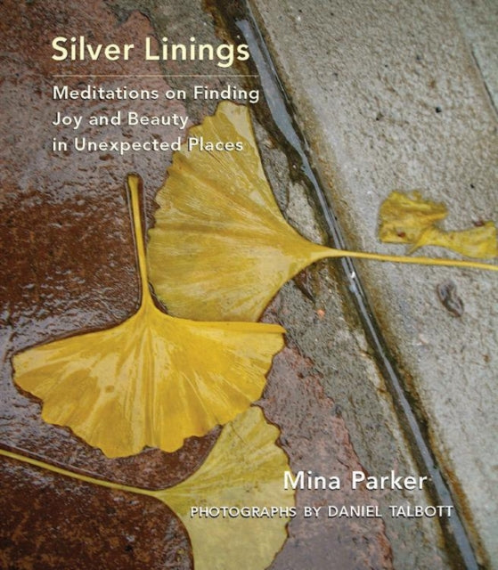 Silver Linings: Meditations on Finding Joy and Beauty in Unexpected Places