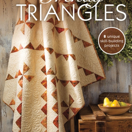 Trendy Triangles 8 Skill Building Unique Projects Quilting