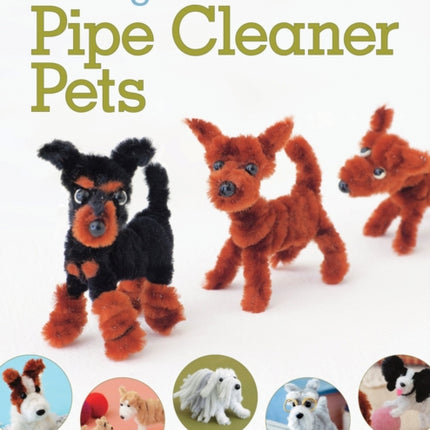 Making Pipe Cleaner Pets