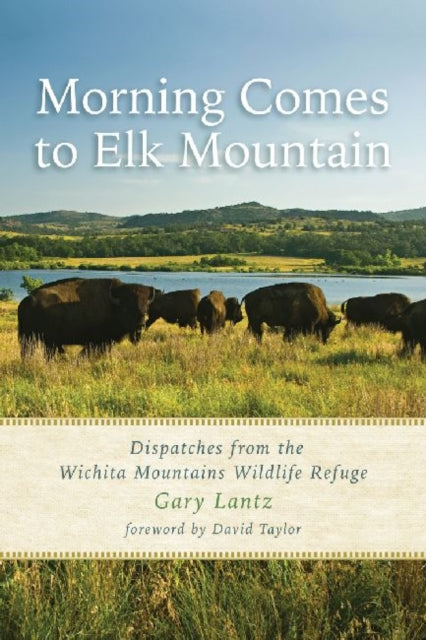 Morning Comes to Elk Mountain: Dispatches from