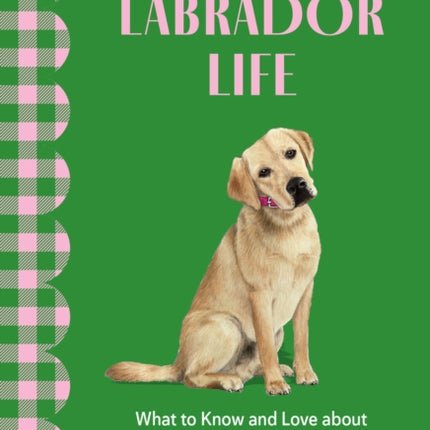 A Labrador Life