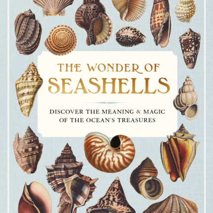 The Wonder of Seashells