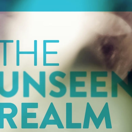 The Unseen Realm: A Question & Answer Companion