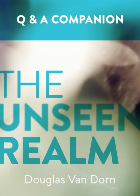 The Unseen Realm: A Question & Answer Companion