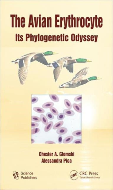 The Avian Erythrocyte: Its Phylogenetic Odyssey