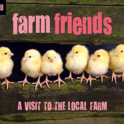 Farm Friends: A Visit to the Local Farm