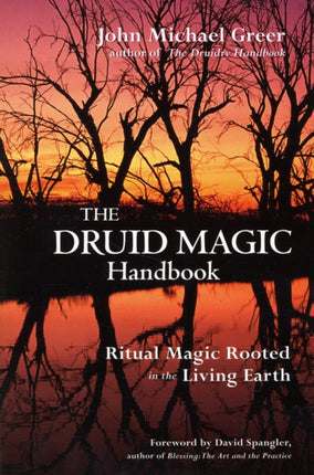 Druid Magic Handbook: Ritual Magic Rooted in the Living Earth