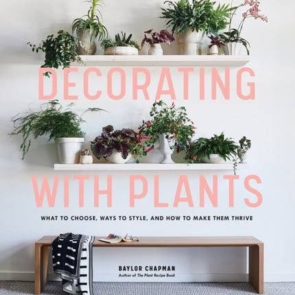 Decorating with Plants: What to Choose, Ways to Style, and How to Make Them Thrive