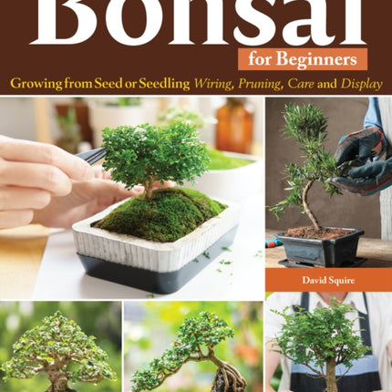 Complete Starter Guide to Bonsai