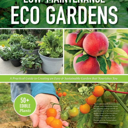 LowMaintenance Eco Gardens