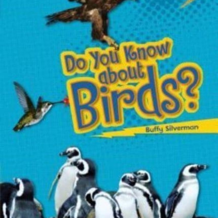 Do You Know about Birds?