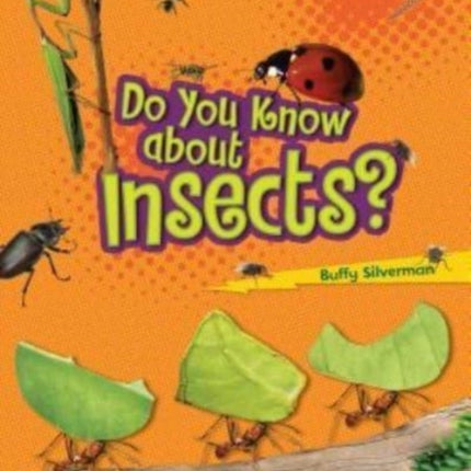 Do You Know about Insects