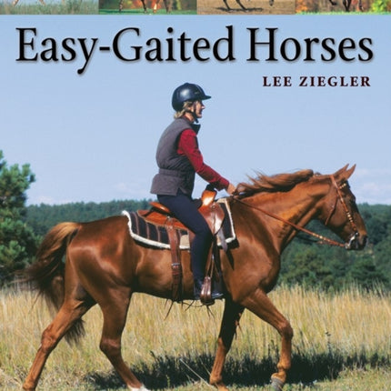 Easy-Gaited Horses: Gentle, humane methods for training and riding gaited pleasure horses