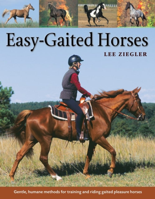 Easy-Gaited Horses: Gentle, humane methods for training and riding gaited pleasure horses