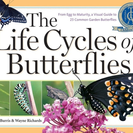 The Life Cycles of Butterflies: From Egg to