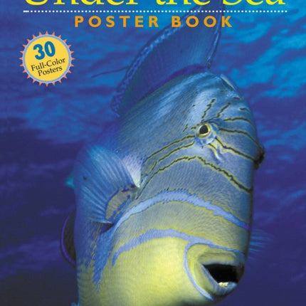 Under the Sea Poster Book