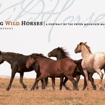 Among Wild Horses: A Portrait of the Pryor Mountain Mustangs