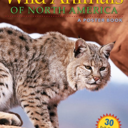 Wild Animals of North America