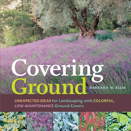 Covering Ground