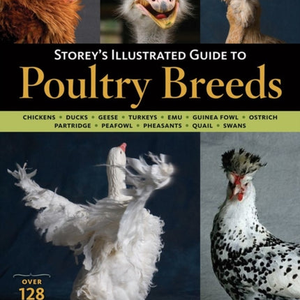 Storey's Illustrated Guide to Poultry Breeds: Chickens, Ducks, Geese, Turkeys, Emus, Guinea Fowl, Ostriches, Partridges, Peafowl, Pheasants, Quails, Swans