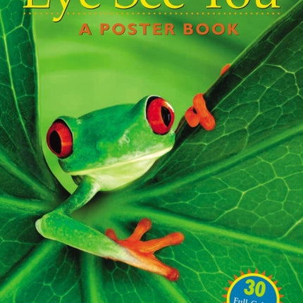 Eye See You: A Poster Book