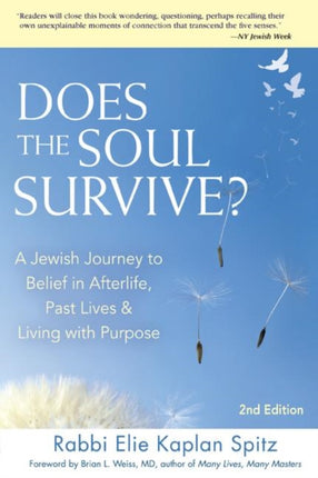 Does the Soul Survive?: A Jewish Journey to