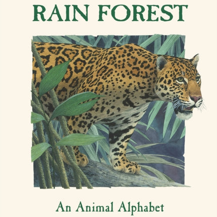 The Living Rain Forest: An Animal Alphabet