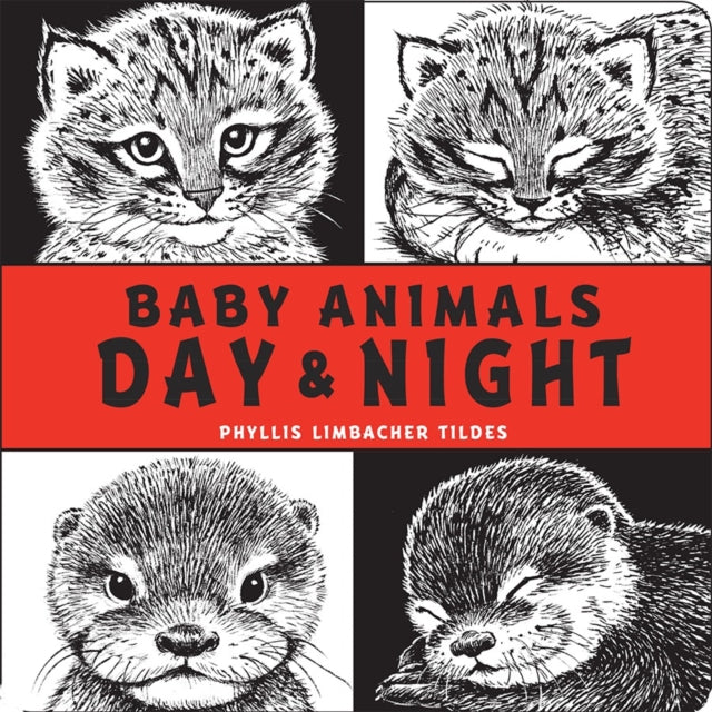 Baby Animals Day & Night