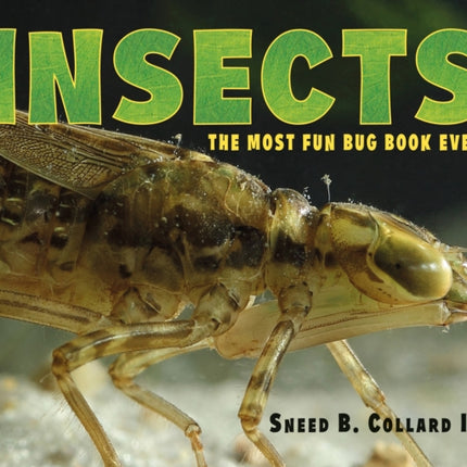 Insects: The Most Fun Bug Book Ever