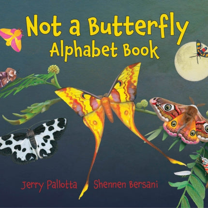 Not a Butterfly Alphabet Book