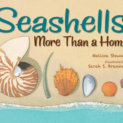 Seashells: More Than a Home