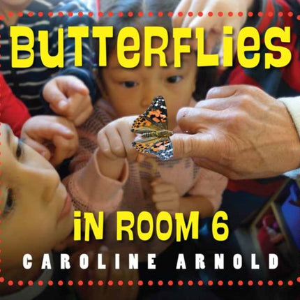 Butterflies in Room 6