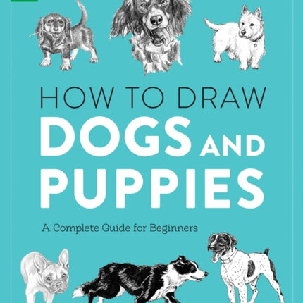 How to Draw Dogs and Puppies: A Complete Guide for Beginners