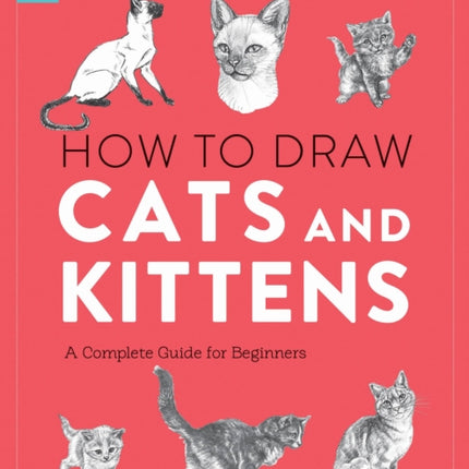 How to Draw Cats and Kittens: A Complete Guide for Beginners