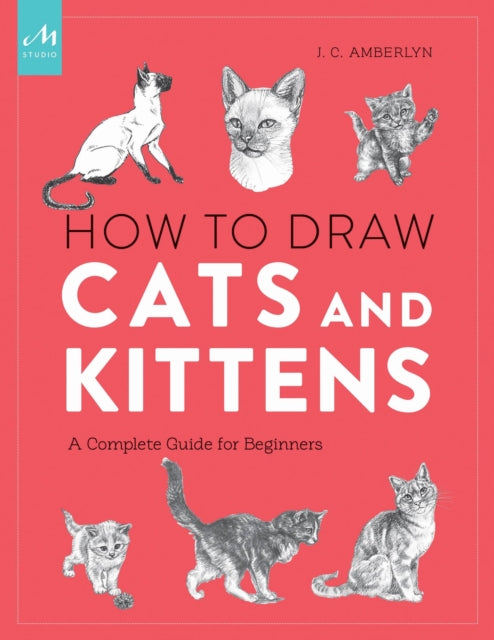 How to Draw Cats and Kittens: A Complete Guide for Beginners