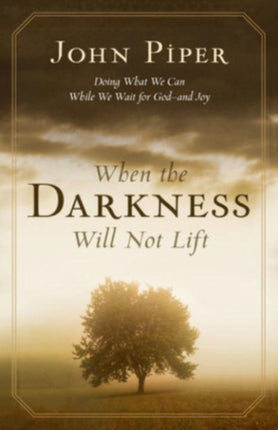 When the Darkness Will Not Lift: Doing What We Can While We Wait for God--and Joy