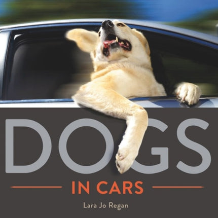 Dogs in Cars