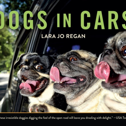 Dogs in Cars